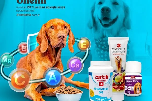 Elit Petshop İstiklal Şubesi - Resim 18
