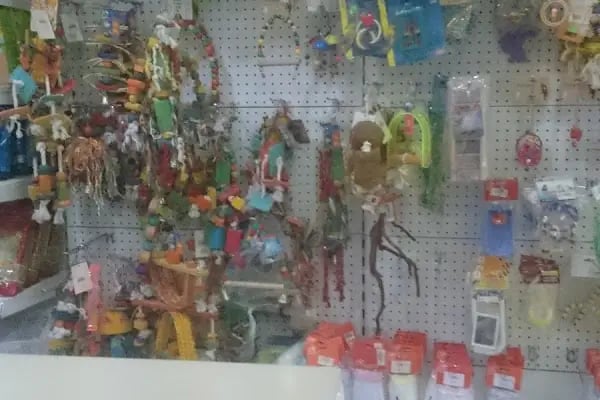 Elit Petshop İstiklal Şubesi - Resim 19
