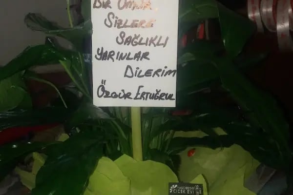 Yağcıbedir Çiçek Evi - Resim 16