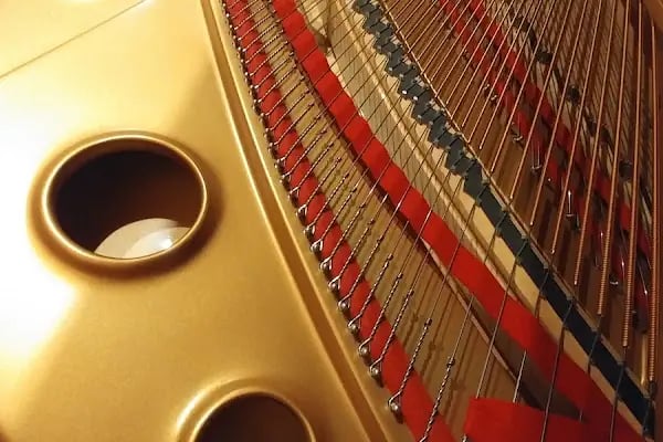Kuğu Müzik Aletleri Sanayi ve Ticaret Ltd. Şti - Resim 8