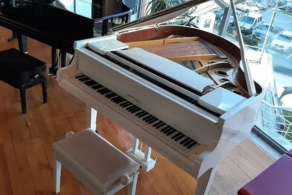 Kuğu Müzik Aletleri Sanayi ve Ticaret Ltd. Şti - Resim 14