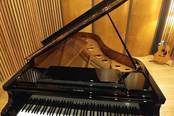 Kuğu Müzik Aletleri Sanayi ve Ticaret Ltd. Şti - Resim 11