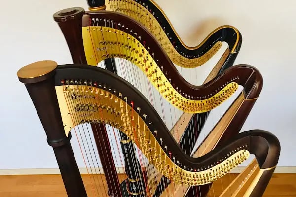 Kuğu Müzik Aletleri Sanayi ve Ticaret Ltd. Şti - Resim 13