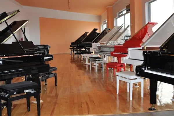 Kuğu Müzik Aletleri Sanayi ve Ticaret Ltd. Şti - Resim 2