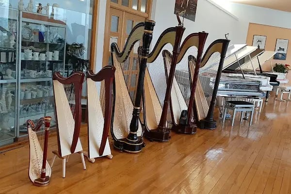 Kuğu Müzik Aletleri Sanayi ve Ticaret Ltd. Şti - Resim 4