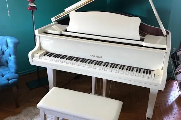 Kuğu Müzik Aletleri Sanayi ve Ticaret Ltd. Şti - Resim 20