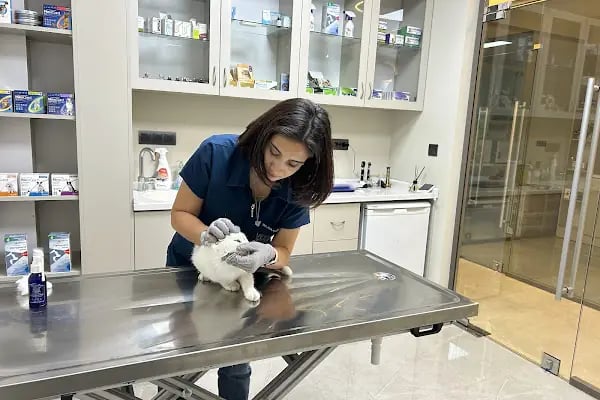 Adana VetZone Veteriner Kliniği - Resim 6