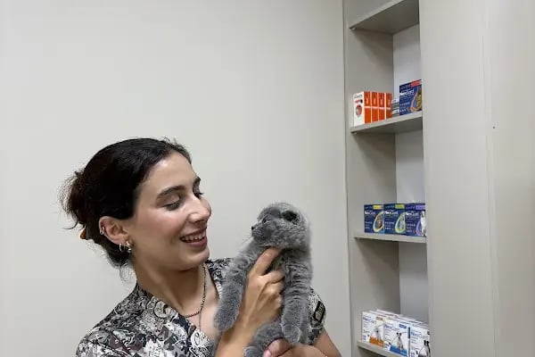 Adana VetZone Veteriner Kliniği - Resim 11