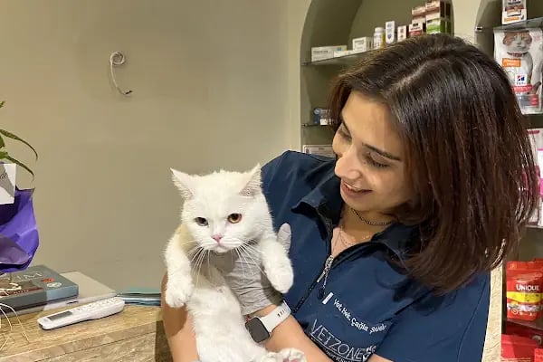 Adana VetZone Veteriner Kliniği - Resim 10