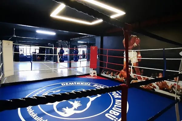 Demirkol Boks Spor Kulübü - Resim 6