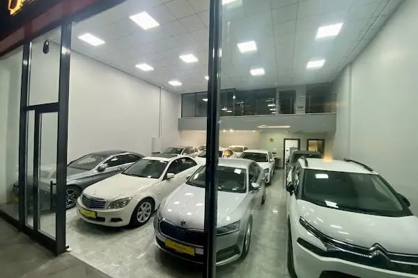 YALDIZLAR OTOMOTİV - Resim 8