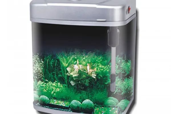 ALİŞ PET MARKET - Resim 9