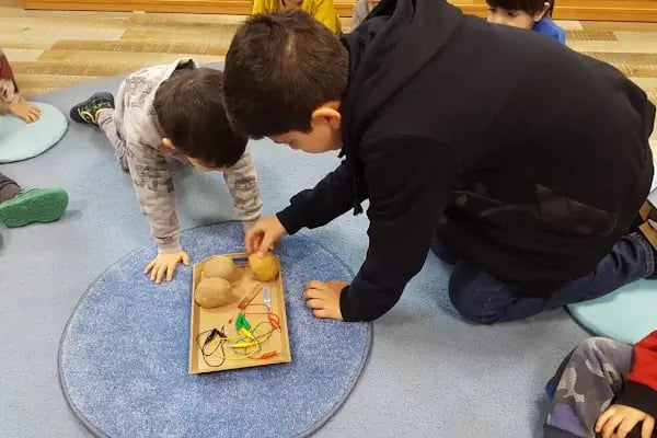 Arı Akademi Montessori Okulu - Resim 5