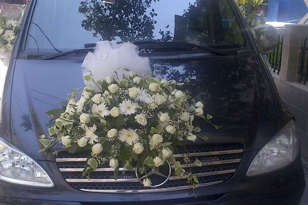 Vip İzmir Transfer - Resim 12