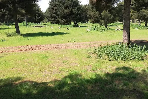 Ceylan Parkı - Resim 3