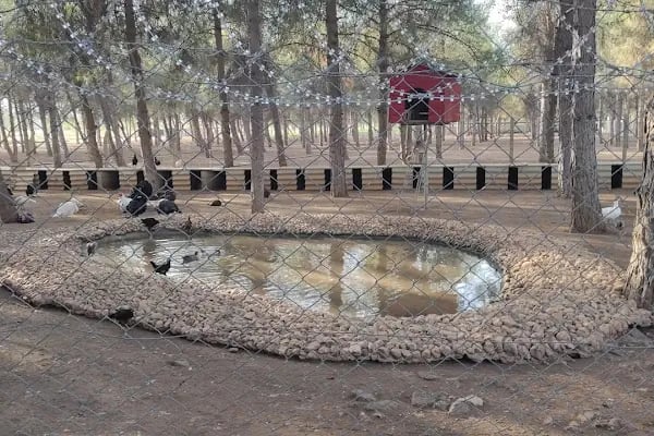 Ceylan Parkı - Resim 15