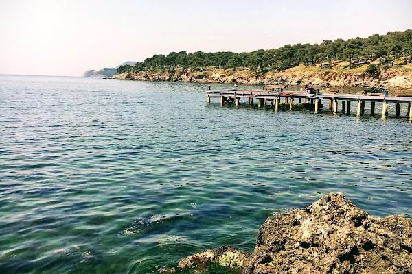 Yörükali Garden - Resim 10