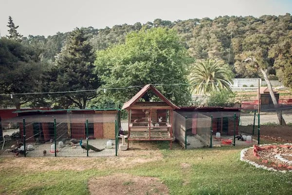Yörükali Garden - Resim 7