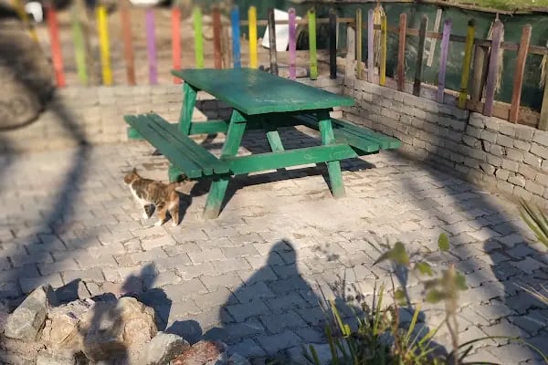 Gizli Vadi Binicilik Kulübü - Resim 15