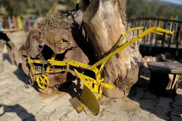 Gizli Vadi Binicilik Kulübü - Resim 14