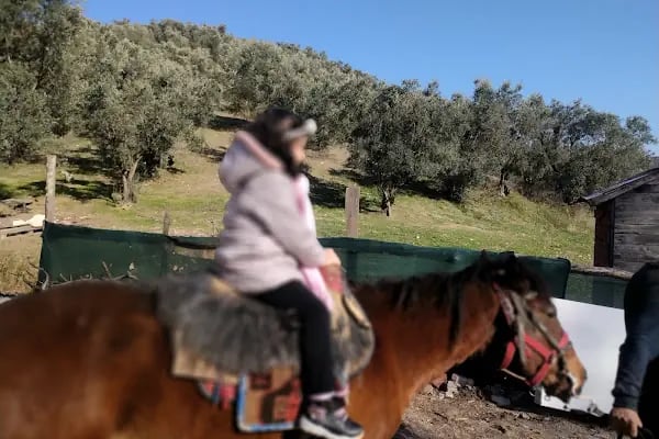 Gizli Vadi Binicilik Kulübü - Resim 1