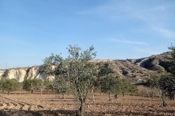 Nizip Otogar - Resim 7