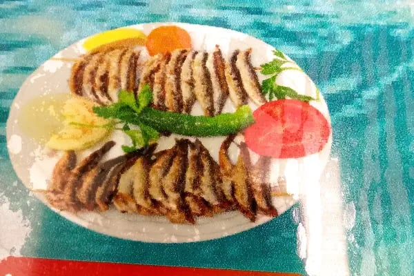 Mini Tavuk Döner - Resim 13