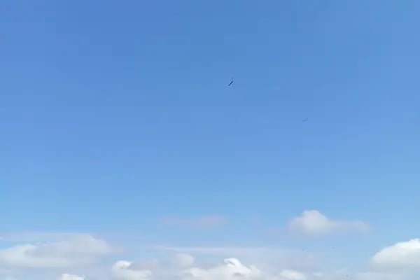 Akdağ Kayak Merkezi - Resim 7