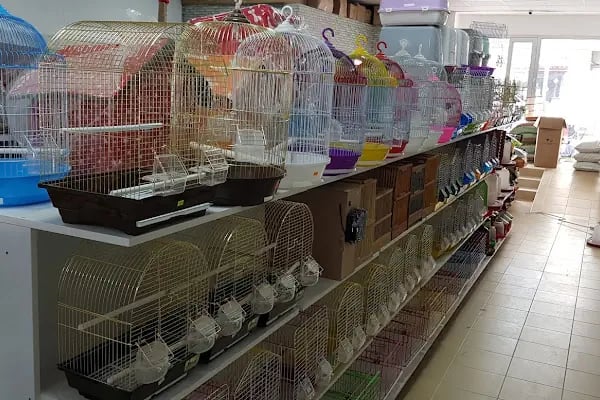 Tuna Petshop - Resim 6