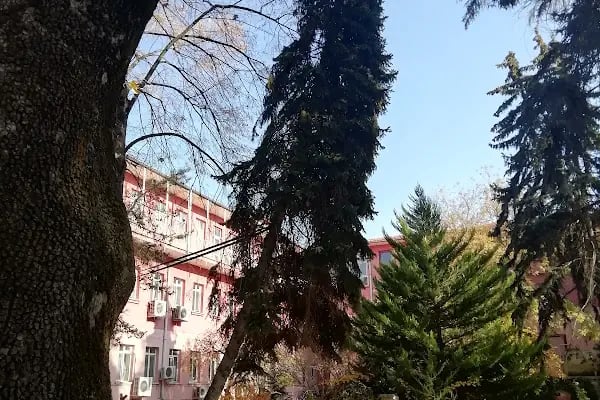 Dr. Sami Ulus Kadın Doğum, Çocuk Sağlığı ve Hastalıkları Eğitim ve Araştırma Hastanesi - Resim 16
