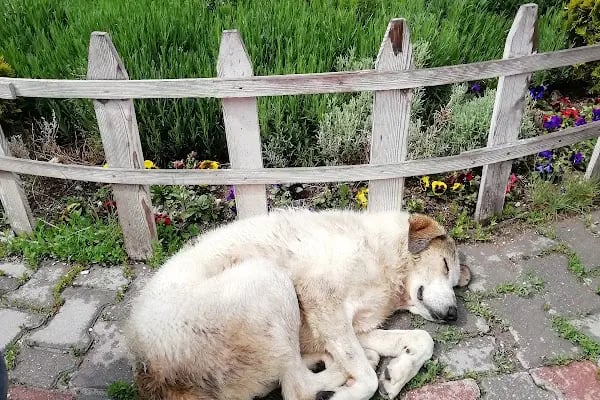 Dr. Sami Ulus Kadın Doğum, Çocuk Sağlığı ve Hastalıkları Eğitim ve Araştırma Hastanesi - Resim 19