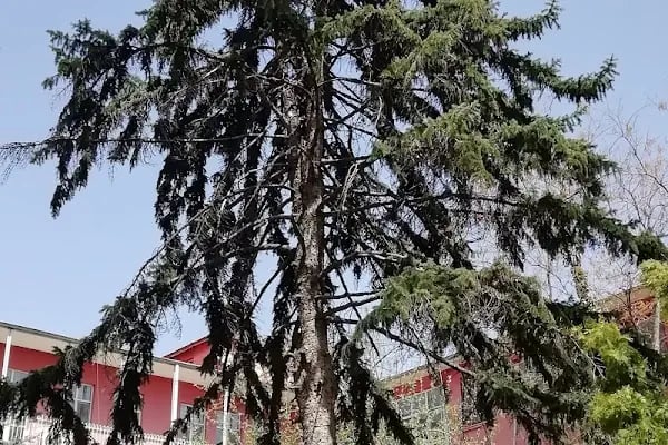 Dr. Sami Ulus Kadın Doğum, Çocuk Sağlığı ve Hastalıkları Eğitim ve Araştırma Hastanesi - Resim 15