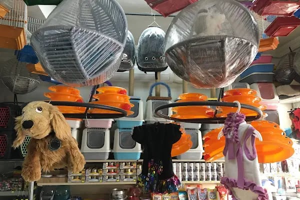 STAR PETSHOP - Resim 2