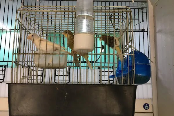 STAR PETSHOP - Resim 20