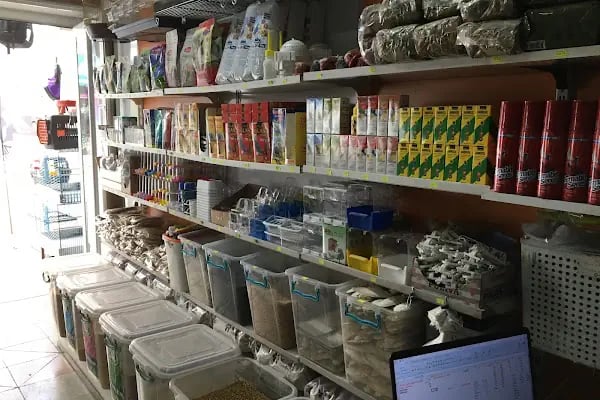 STAR PETSHOP - Resim 8