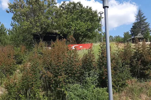 Tarihi ipek yolu parkı - Resim 5