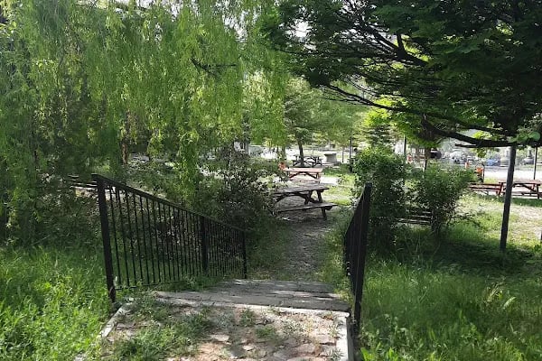Tarihi ipek yolu parkı - Resim 7