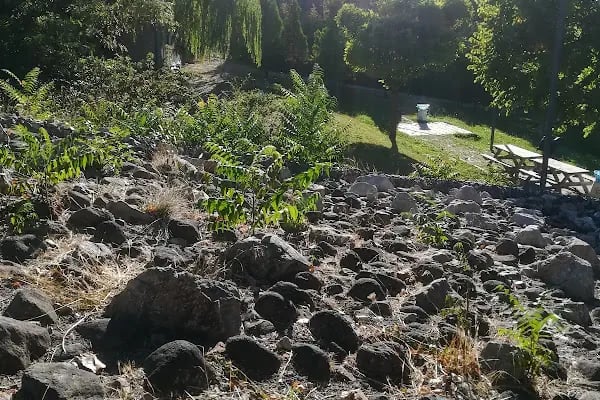 Tarihi ipek yolu parkı - Resim 20
