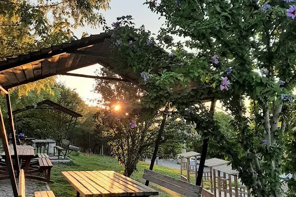 Tarihi ipek yolu parkı - Resim 16