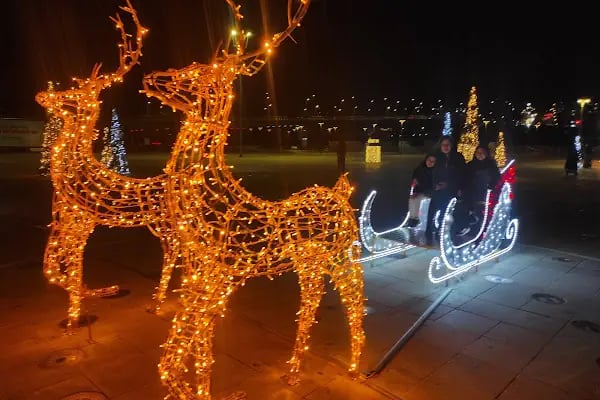 Tekirdag Büyükşehir Belediyesi Çerkezköy Kent Parkı - Resim 15