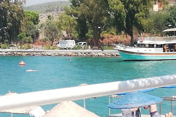Greenport Bodrum - Resim 3