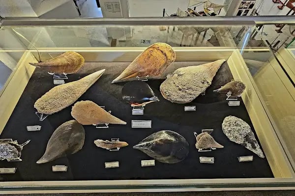 Bodrum Deniz Müzesi - Resim 18