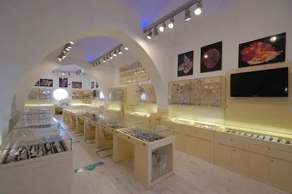 Bodrum Deniz Müzesi - Resim 3