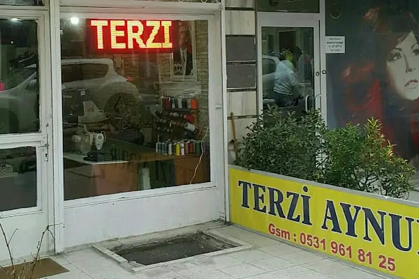 Terzi Aynur - Resim 5