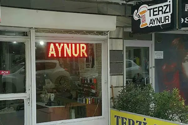 Terzi Aynur - Resim 3