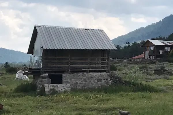 Kurt yaylası cami - Resim 8