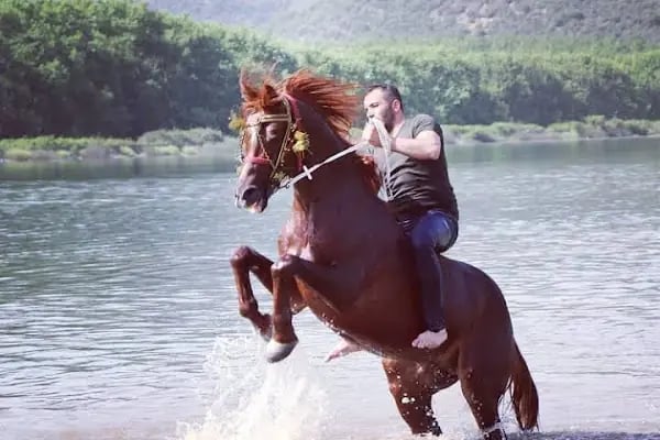 Yıldırım Atlı Cirit Spor Kulübü - Resim 9
