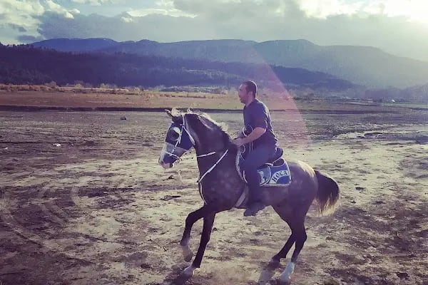 Yıldırım Atlı Cirit Spor Kulübü - Resim 6