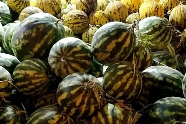 Korkmaz Market - Resim 4