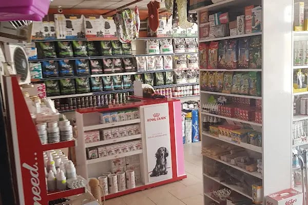taşdemir petshop - Resim 14